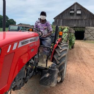Farmworker on tractor